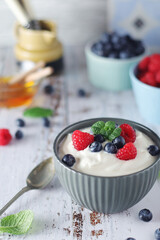A bowl with Greek yogurt with berries