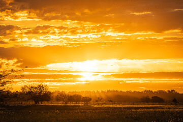Atardecer campestre, la hora dorada en su maximo esplendor.