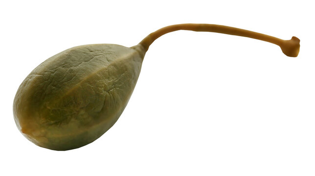 Caper berry