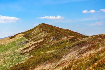 spring panorama of colorful mountains  vegetation coming back to life  european mountains covered with colorful plants © Lens Down Under