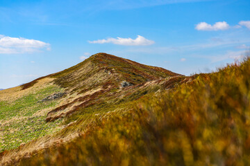 spring panorama of colorful mountains  vegetation coming back to life  european mountains covered with colorful plants © Lens Down Under