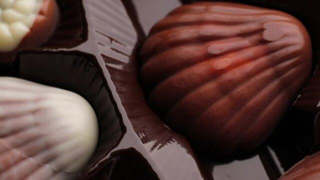 Close up of seashell chocolate, rotation in circle. seashell chocolate on a rotating 360 stack. selective focus.