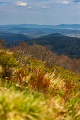Obraz premium colourful panorama of mountains during spring; mountain plants coming to life and blooming in the European mountains, bieszczady, poland