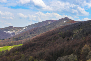 colourful panorama of mountains during spring  mountain plants coming to life and blooming in the European mountains, bieszczady, poland © Lens Down Under