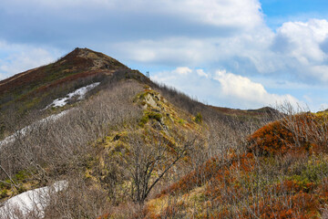 spring panorama of colorful mountains  vegetation coming back to life  european mountains covered with colorful plants © Lens Down Under