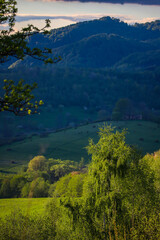 sunset over a lush green mountain glade in europe, spring landscape during sunset, the san valley in the polish mountains bieszczady