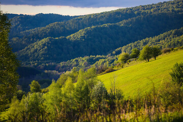 sunset over a lush green mountain glade in europe, spring landscape during sunset, the san valley in the polish mountains bieszczady
