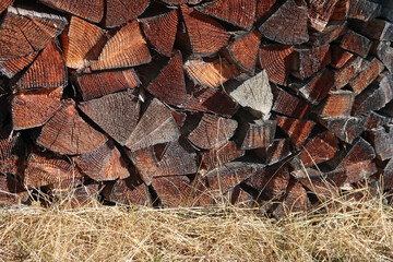 sonnenverbranntes Brennholz - sun burnt firewood