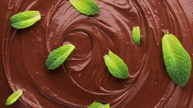 Close up of chocolate mint, rotation in circle. fresh green mint leaves on chocolate on a rotating 360 stack. selective focus. chocolate background with mint