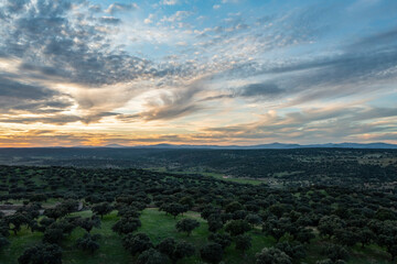 Aerial view with drone of autumn landscape at sunset in the north of Extremadura, Spain, with trees, plants and rocks.