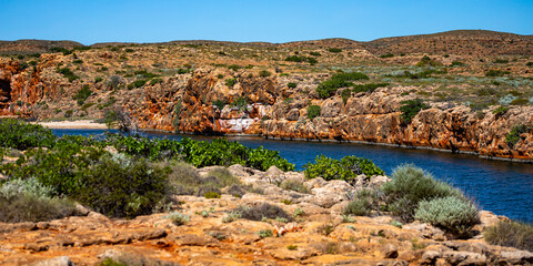 panorama of yardie creek in cape range national park, western australia; unique canyon in...