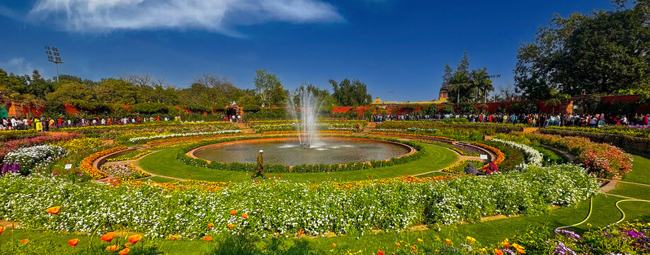 mughal garden delhi or Amrit Udyan , Rashtrapati Bhawan, President's Estate, New Delhi, Delhi