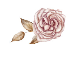 Obraz premium watercolor flowers