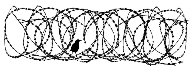 A free bird rests on a coil of razor wire from a prision fence in an illustration on a transparent background.
