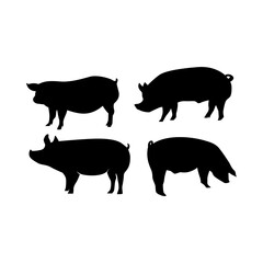 Pig Silhouette on Premium Vector 