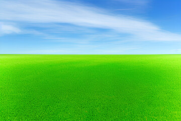 Papel de parede gramado verde plano com céu azul - obrazy, fototapety, plakaty