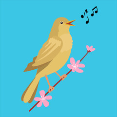 Illustration of a cartoon nightingale singing on a sakura branch