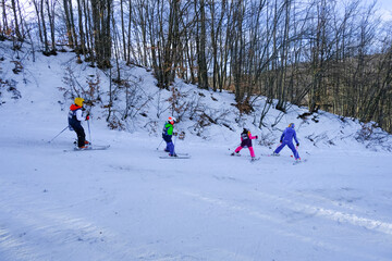 Kids in colorful ski suits skiing in the snowy mountains across the trees and sunlight.