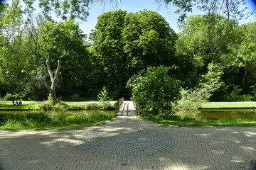 allée à pavés ombragée sous la végétation luxuriante du Vrijbroekpark à Malines 