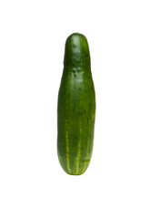 Cucumber isolated on a white background.