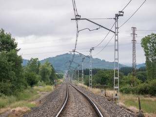 Train tracks are lost in the background under the electrified wires of the catenary in a landscape full of vegetation on a cloudy day
