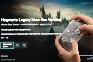 Obraz premium Play Hogwarts Legacy console game