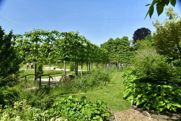 Fototapeta na wymiar La végétation luxuriante au printemps au Vrijbroekpark à Malines 