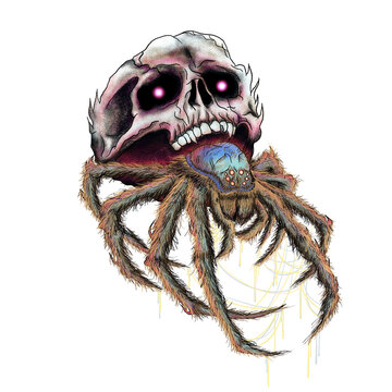 Skull Tarantula Spider
