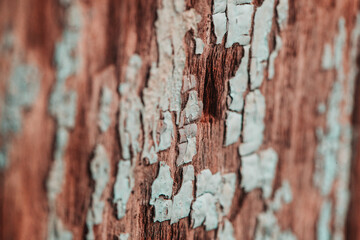 Red white old wood texture for dirty aged grunge graphic