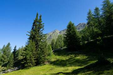 Endless view from high up towards the blue sky 