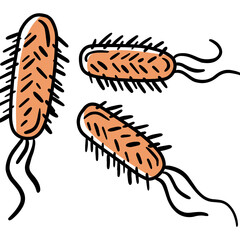 Escherichia coli gram-negative anaerobic bacterium in the human intestinal microflora, vector illustration. Microbiota of the digestive tract.