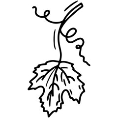 Grape leaf linear vector icon in doodle sketch style