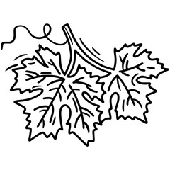 Grape leaf linear vector icon in doodle sketch style