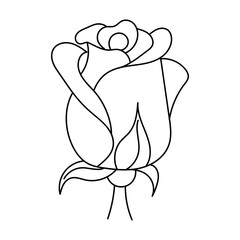 Rose flower in linear style. Hand drawing rose flower isolated on white background. Floral vector illustration