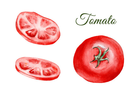 Set of watercolor tomatoes isolated on white background