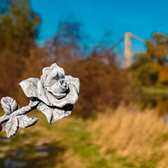 Details of a beautiful stone rose near Mettenufer, Danube, Bavaria, Germany