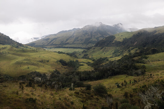 Deep in Colombia wilderness and soil. Very different to what I am use to in the Sates