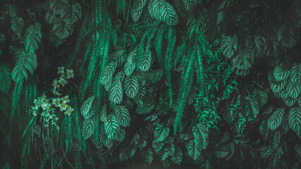 Fototapeta na wymiar Green leaf background. Herb wall, plant wall, natural green wallpaper and background. nature wall. Nature background of green forest 