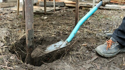 digging an old metal post out of rocky ground with a blue-handled shovel, digging an earthen hole...