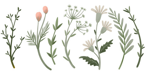 Delicate flower collection with pastel pink flowers and green floral elements. Cartoon botanical spring set on transparent background.