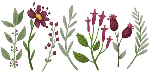 Floral collection of cute hand drawn cartoon flowers on transparent background. Botanical set of floral elements for pattern design, greeting card decoration