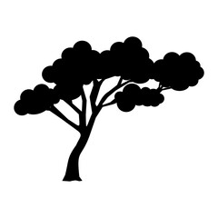 tropical tree silhouette, Dipteryx odorata, baobab, kumaru, brazilian teak, cumaru, tree of the pea family Fabaceae, Adansonia digitalis, savannah - obrazy, fototapety, plakaty