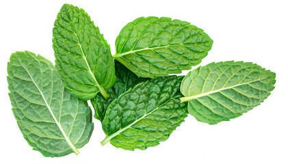 Fresh mint leaves isolated on white background, top view. Close up of peppermint.