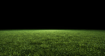 soccer or sports field in shadowy evening light. Low angle view across the neatly cut green grass. Use as a background image.