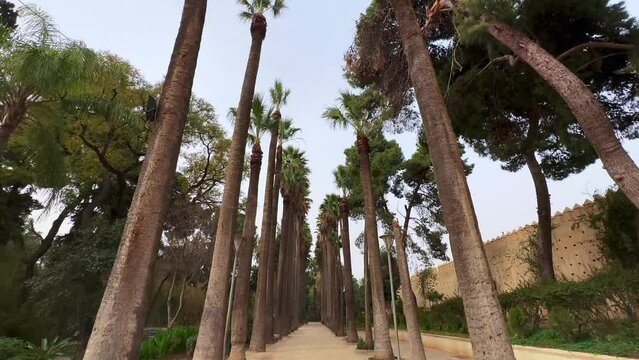 Jnan Sbil garden in the old town of Fez, Morocco