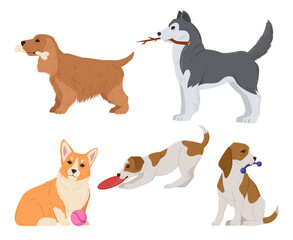 Cartoon dogs with toys. Active playing corgi, husky, spaniel and beagle puppies, cute pets flat vector illustration set