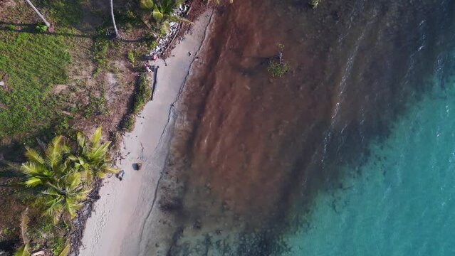 Clean water trash hero clean up paradise beach, Perfect aerial view flight drone