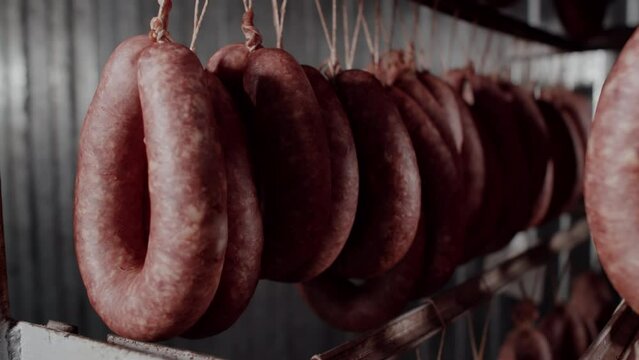 Close-up of a Meat Factory with a rows of ham, salami. Meat delicacies on the metal frame. Production technology of sausage and smoked meat. Appetizing smoked