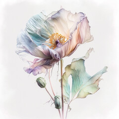 Fading translucent poppy flower art in pastell colours. Spring and Summer feeling, Wallpaper Art. AI Generated Art.