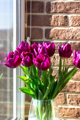 Bouquet of purple tulips by the window. Spring bouquet